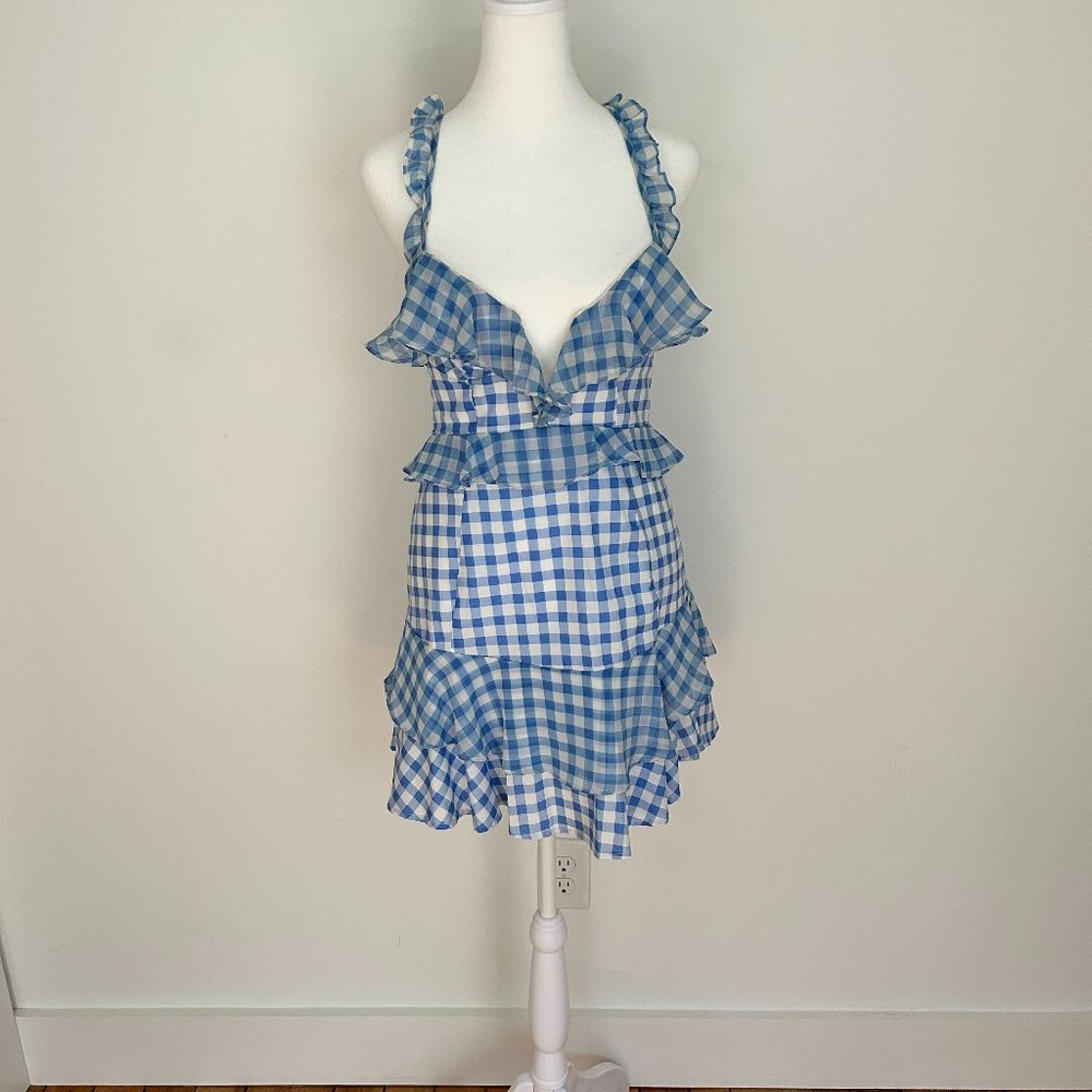 For Love and Lemons Blue & White Gingham Dress